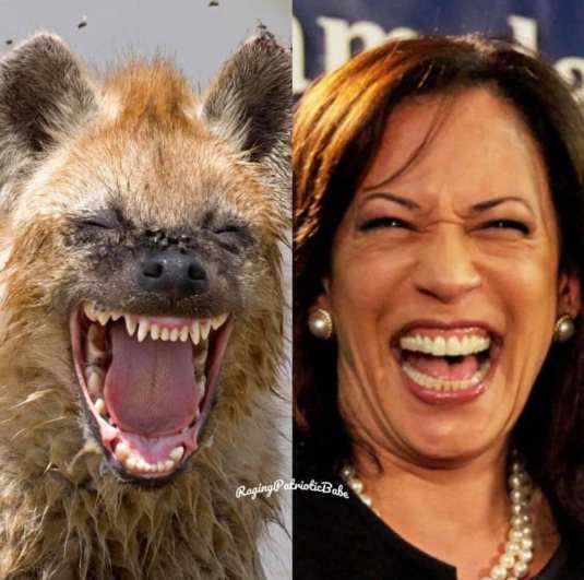 152420123_4062086187169189_3469246173126912823_n