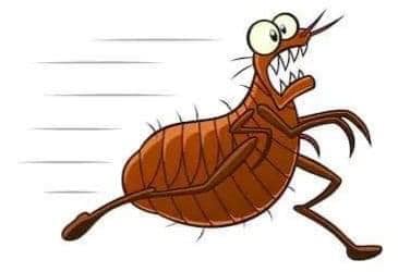 240119908_1877144572492184_4409466255502926341_n