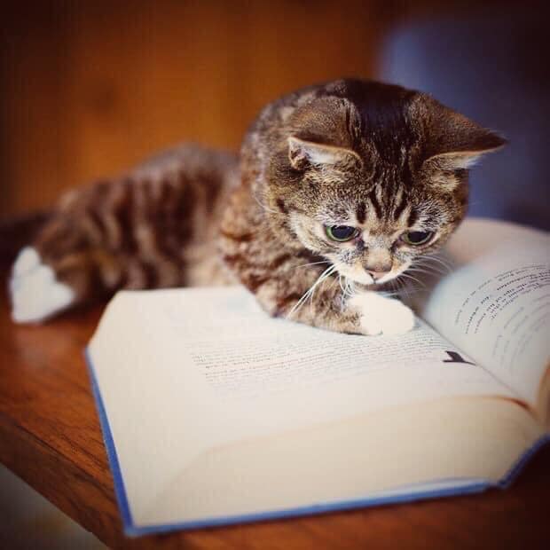 242430471_1871678836372091_8809872162414636549_n