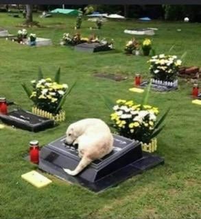 245917300_4679437985411808_3886769926003087374_n