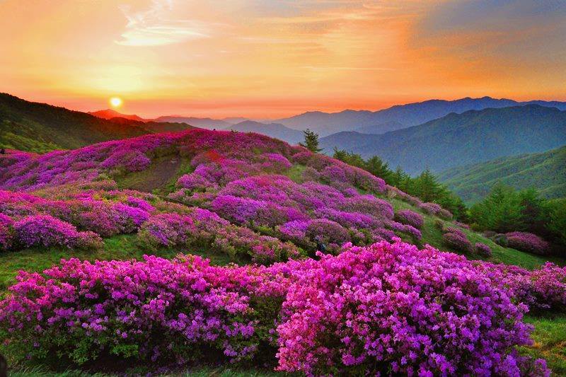 89332954_108318610782719_731308170298785792_n