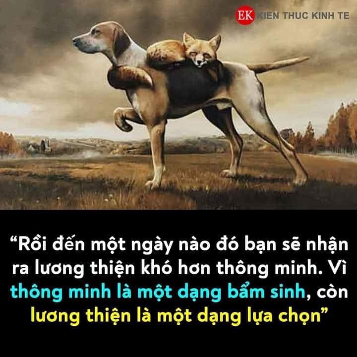 308624042_10224544804062127_5694053181874861016_n