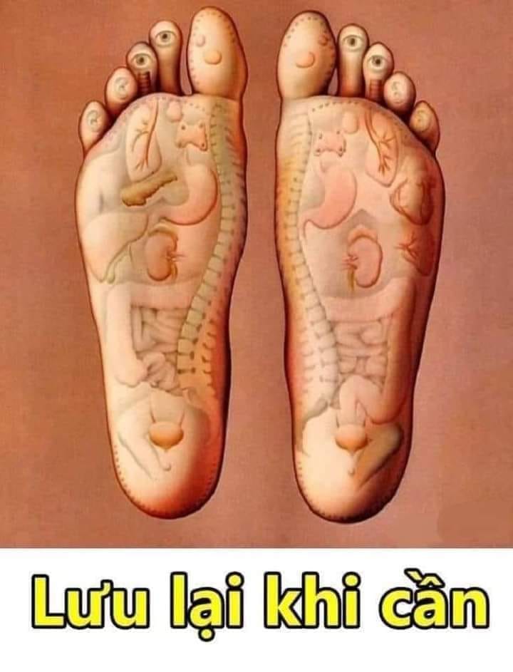 335908750_1692155021239222_8654958234445066022_n