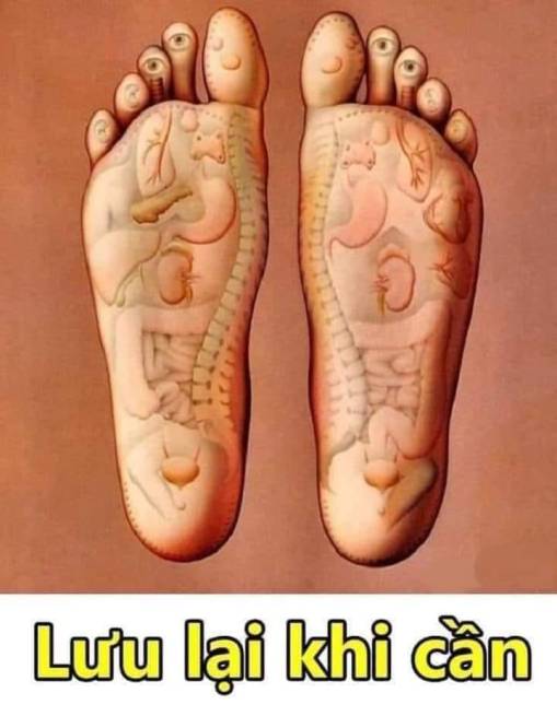 335908750_1692155021239222_8654958234445066022_n