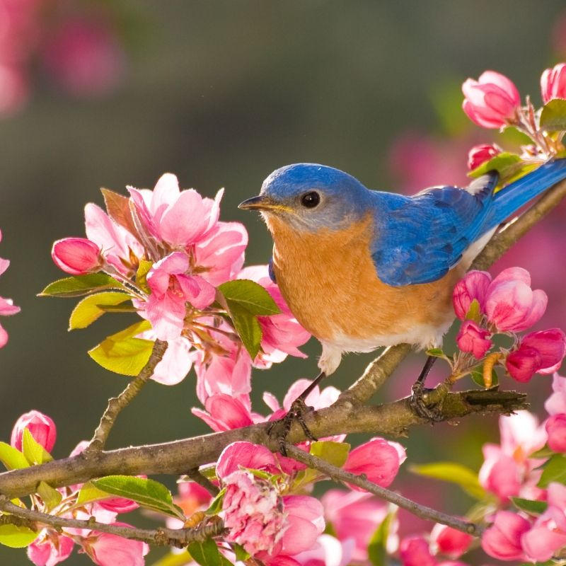 327281301_6339252447151_6826620994602118883_n